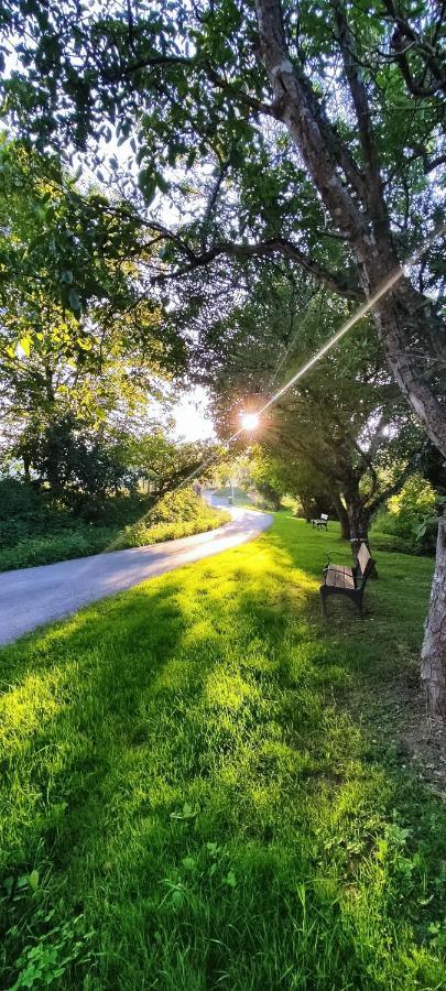 Villamerceditas Rasines Dış mekan fotoğraf
